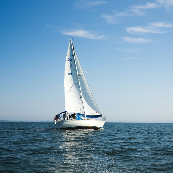 Sail