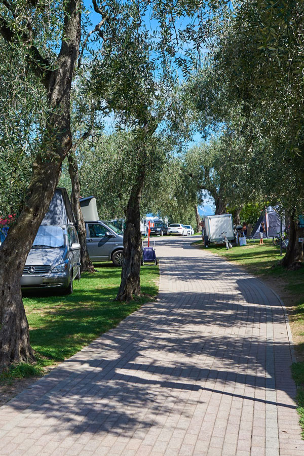 Camping Tonini in Malcesine, lakefront - Camping on Lake Garda, between relaxation and fun