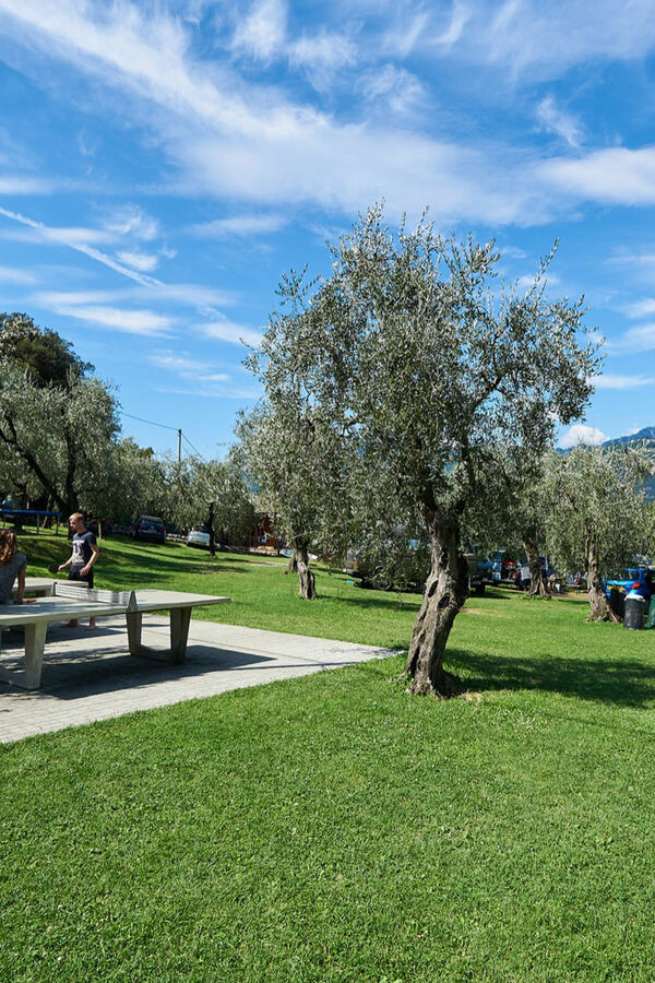 Camping Tonini in Malcesine, lakefront - Camping on Lake Garda, between relaxation and fun Camping Tonini di Tonini Claudio | Camping